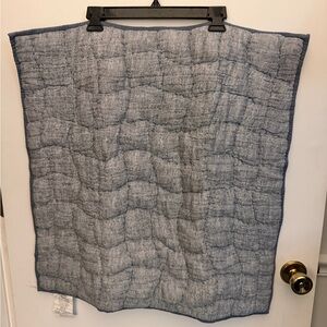 Pottery Barn Light Blue Quilted Euro Shams